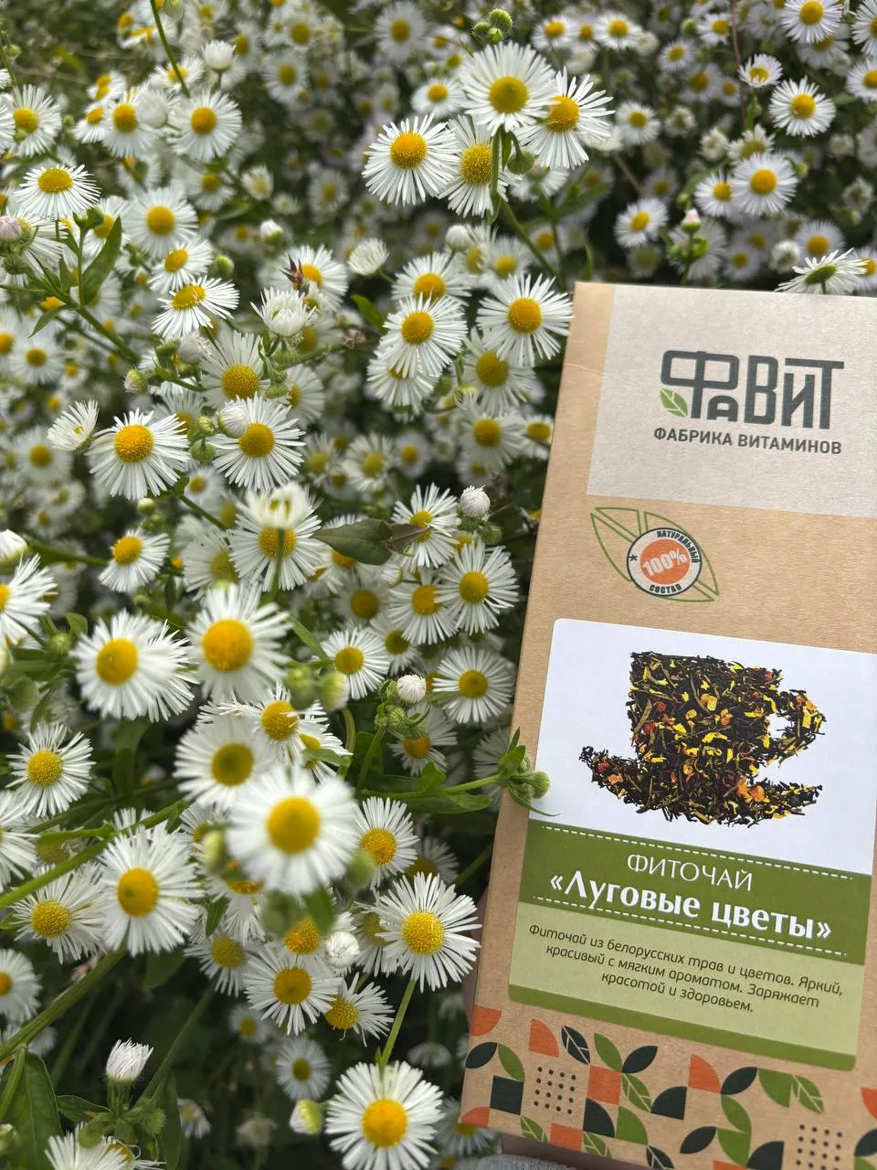 Чай Луговые цветы